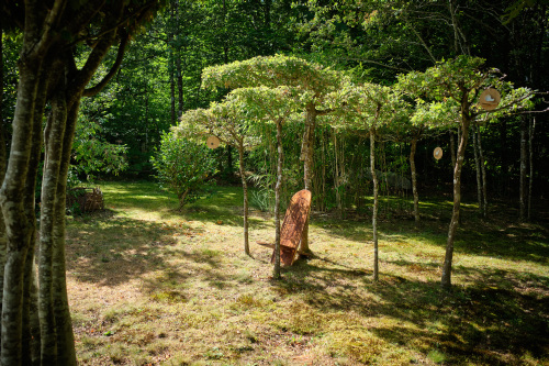 Jardin de Jacques © Jacques Eymard