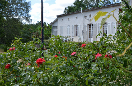 La Falaise - La maison et ses roses © La Falaise