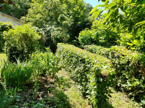 Jardin de Jacques © DRAC Stéphanie Bérusseau, RDVJ 2022 