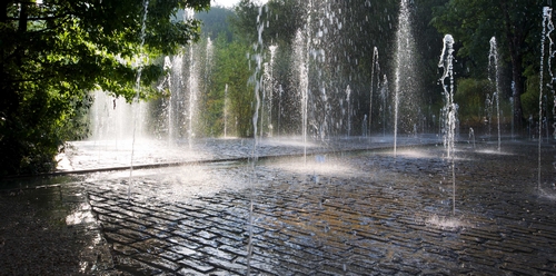 Jardin d'eau © Dan COURTICE
